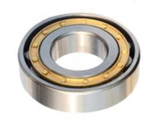 P5 Precision Rating Cylindrical Roller Bearings N1013EM NJ1013EM NU1013EM 65*100*18mm