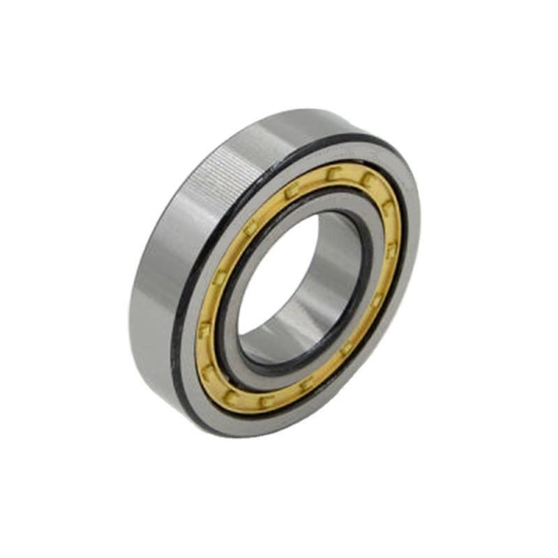 P5 Precision Rating Cylindrical Roller Bearings N1013EM NJ1013EM NU1013EM 65*100*18mm